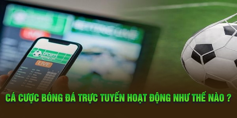 Cá cược bóng đá trực tuyến hoạt động như thế nào?