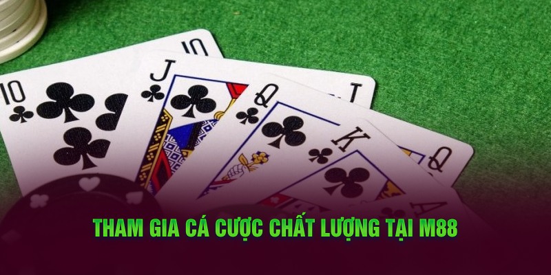 Tham gia cá cược chất lượng tại M88